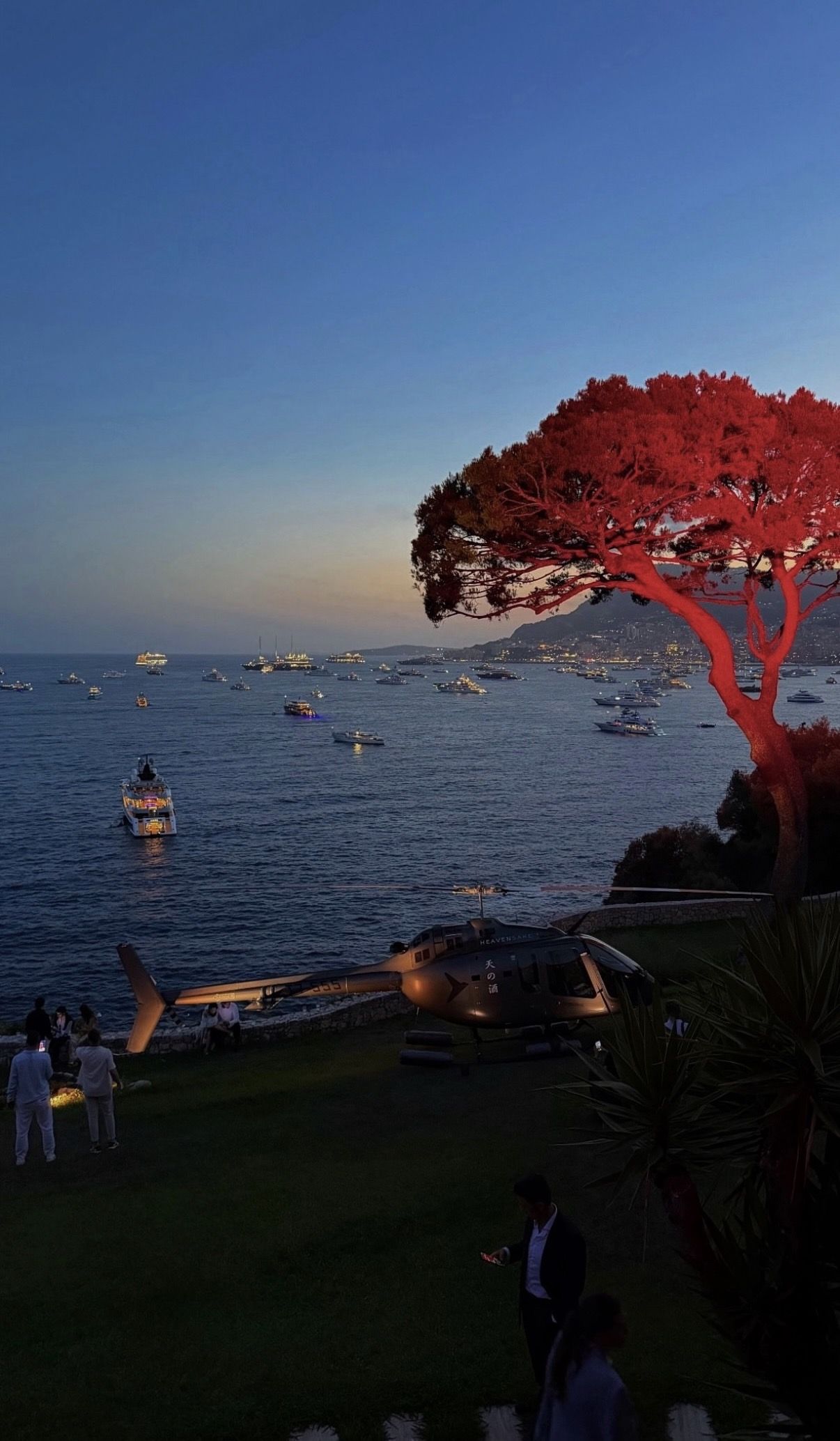Dusk over a bay full of yachts, a helicopter parked on a lawn and a pine tree lit red